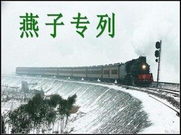 6 燕子专列