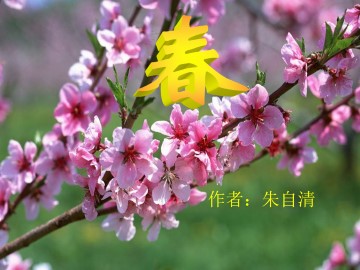 春_课件11