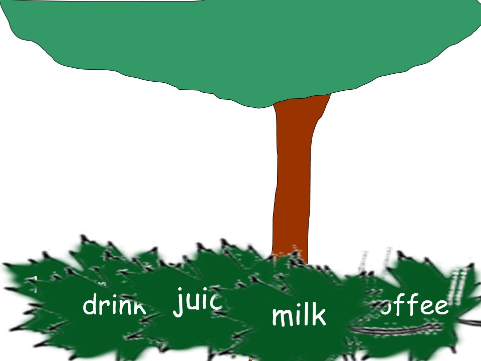 24.jpg