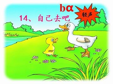 入学教育