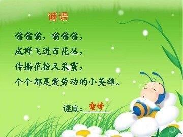26 蜜蜂引路 
