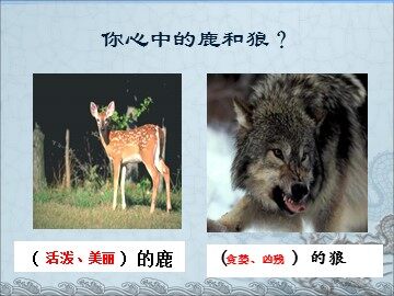 14* 鹿和狼的故事