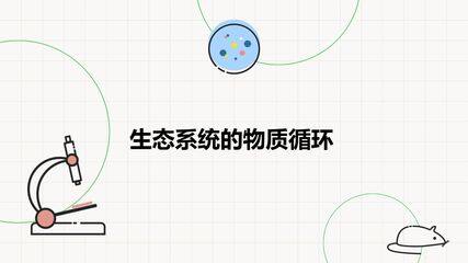 生态系统的物质循环