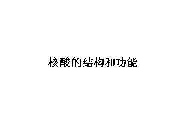 核酸的结构和功能_课件1