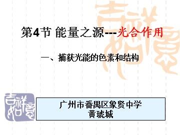 生物高中必修1第五章第四节课件2