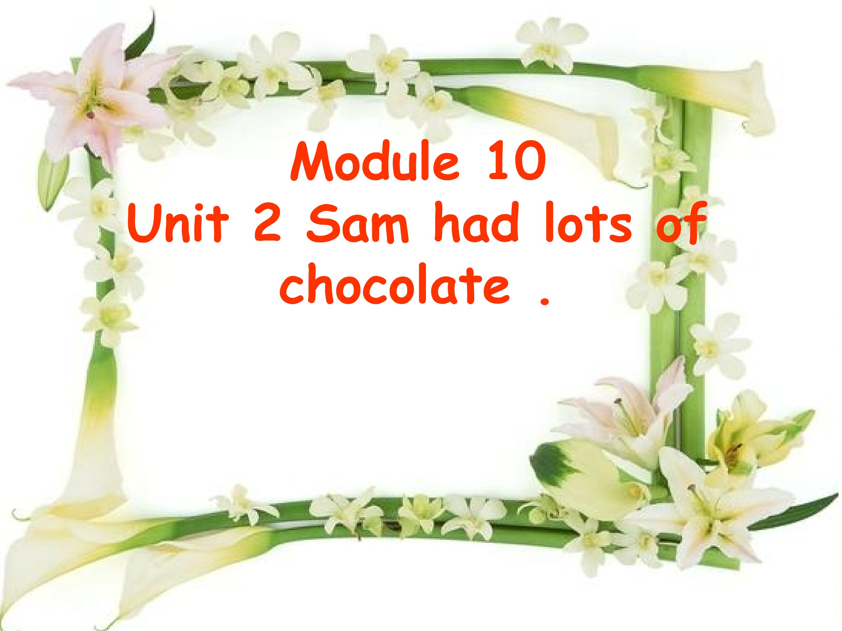 M10U2 Sam had lots of chocolate.