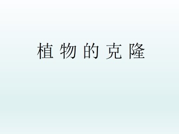 植物的克隆_课件1