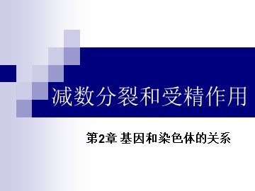 生物高中必修2第二章第一节第一课时课件