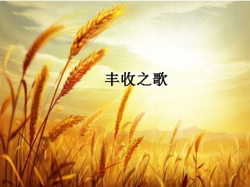 丰收之歌_课件1