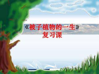 《被子植物的一生》复习课件