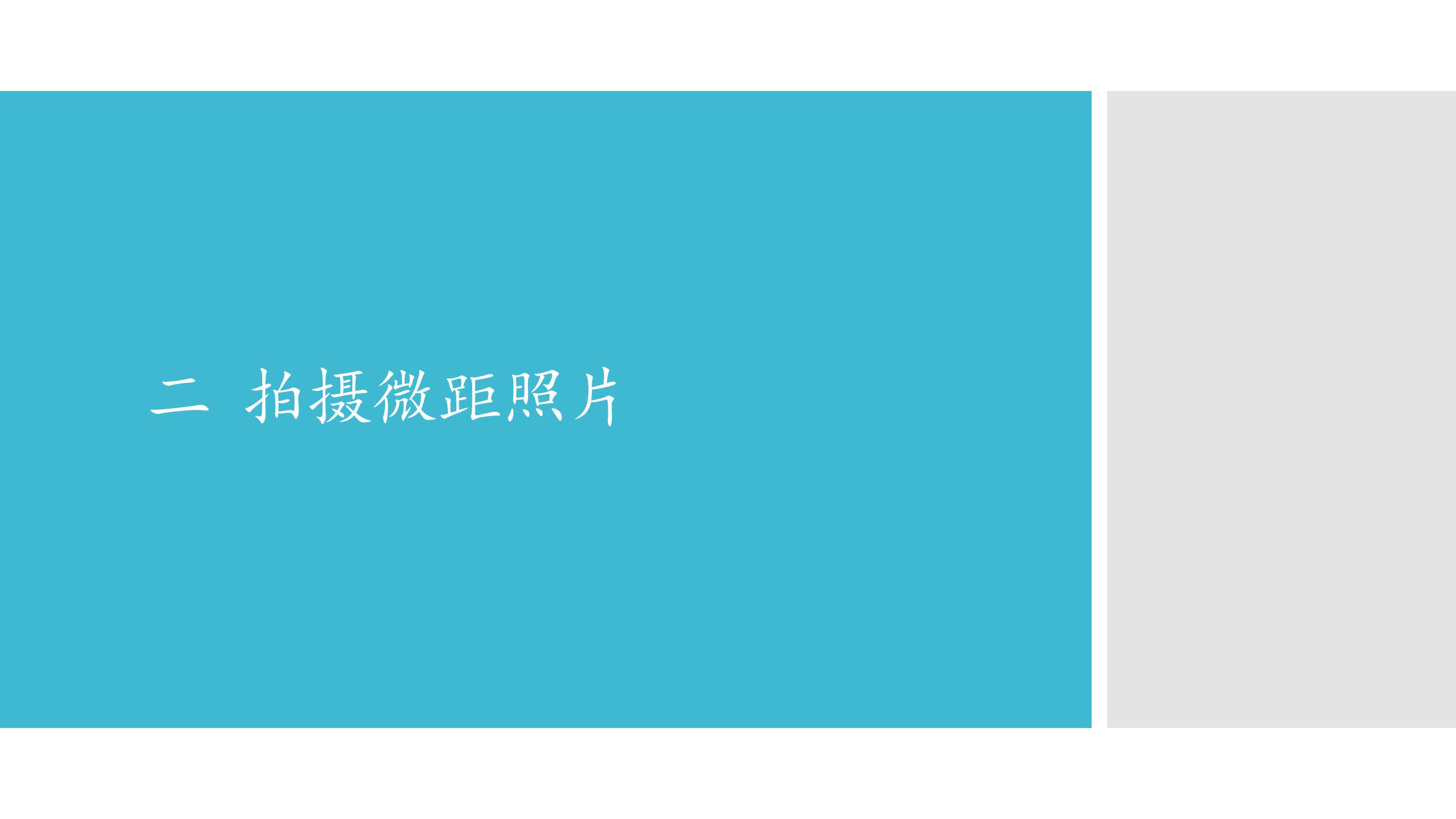 二  拍摄微距照片