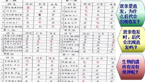 第1节  孟德尔的豌豆杂交实验（一）
