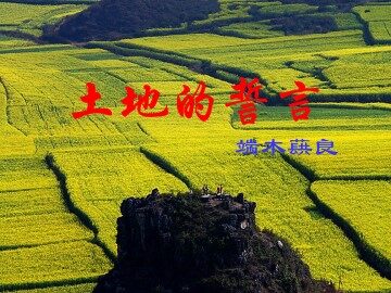 土地的誓言_课件13