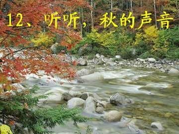 12_ 听听，秋的声音