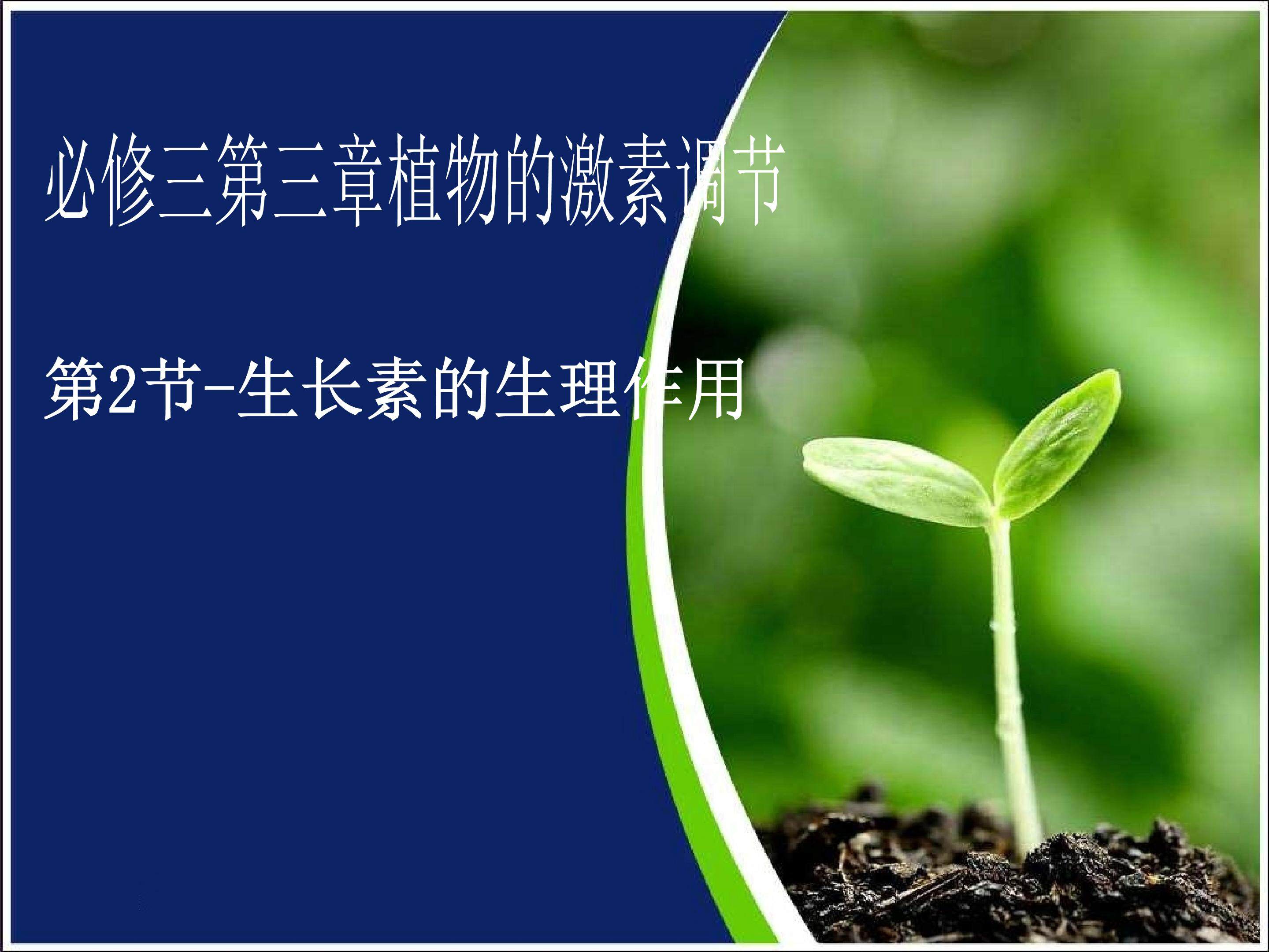 生长素的生理作用