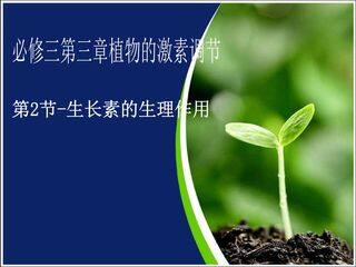 生长素的生理作用