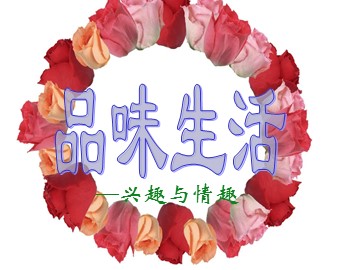 兴趣与情趣