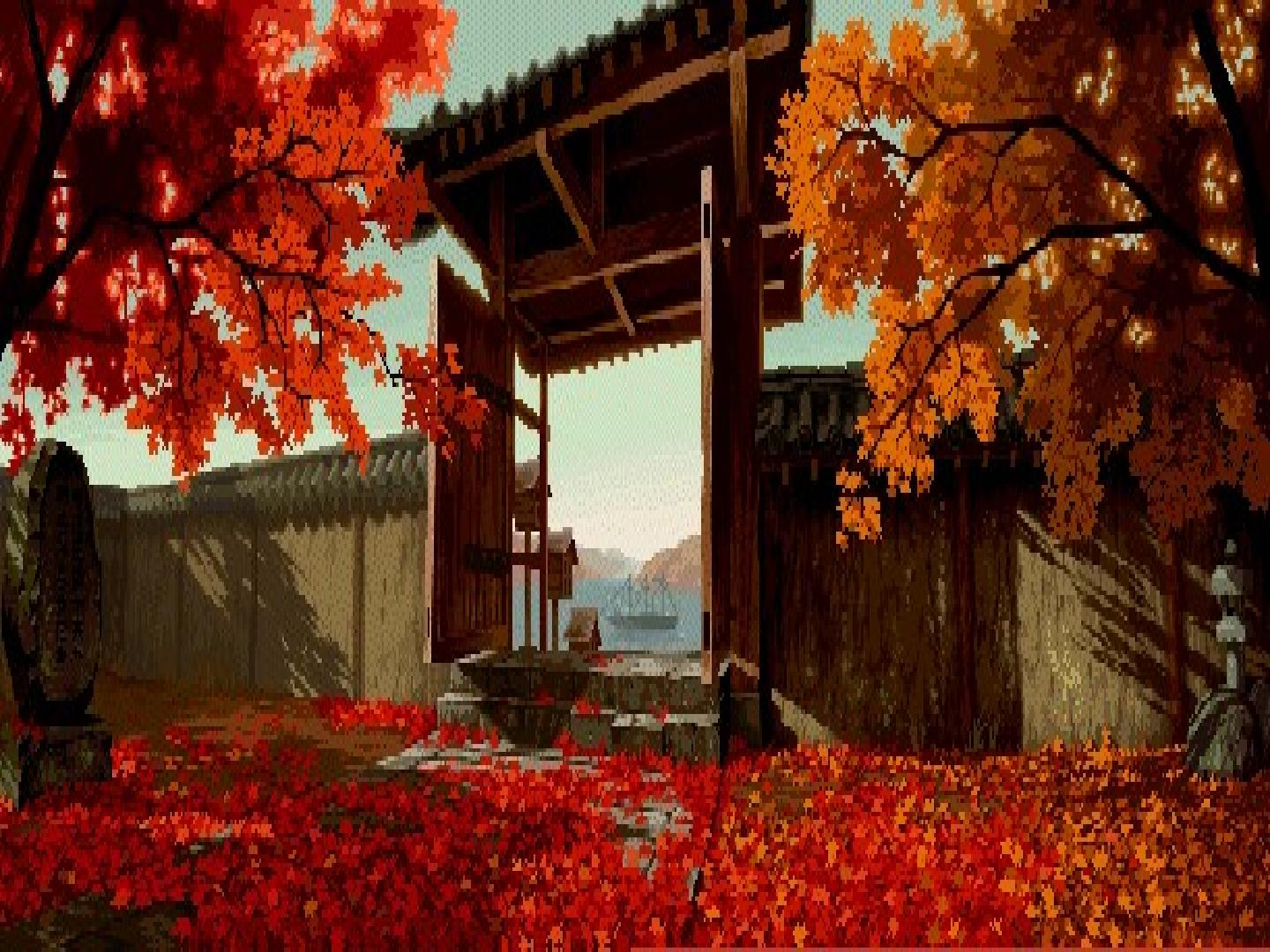 51.jpg