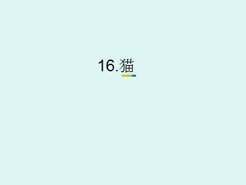 17 猫