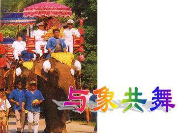 与象共舞_课件3