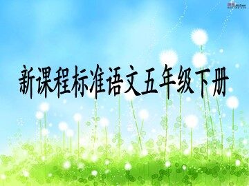25 自己的花是让别人看的