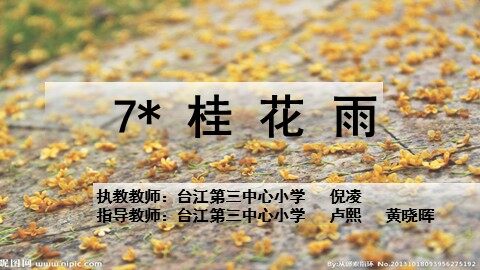 桂花雨最终版