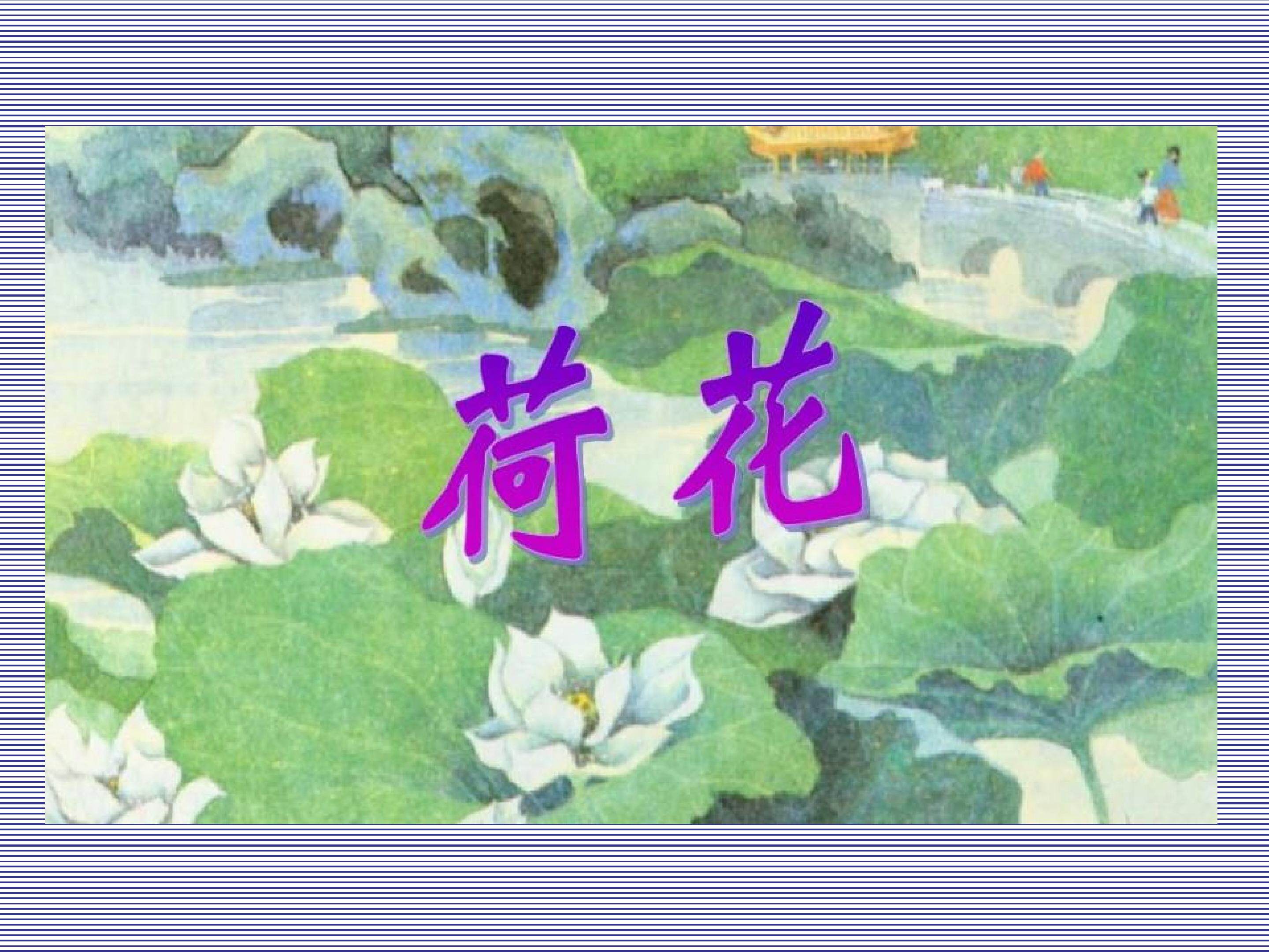 荷花