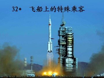 32* 飞船上的特殊乘客