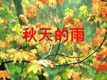 3  秋天的雨