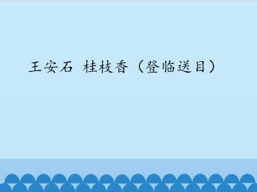 王安石 桂枝香（登临送目）_课件1