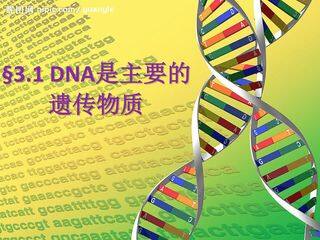 《DNA是主要的遗传物质》