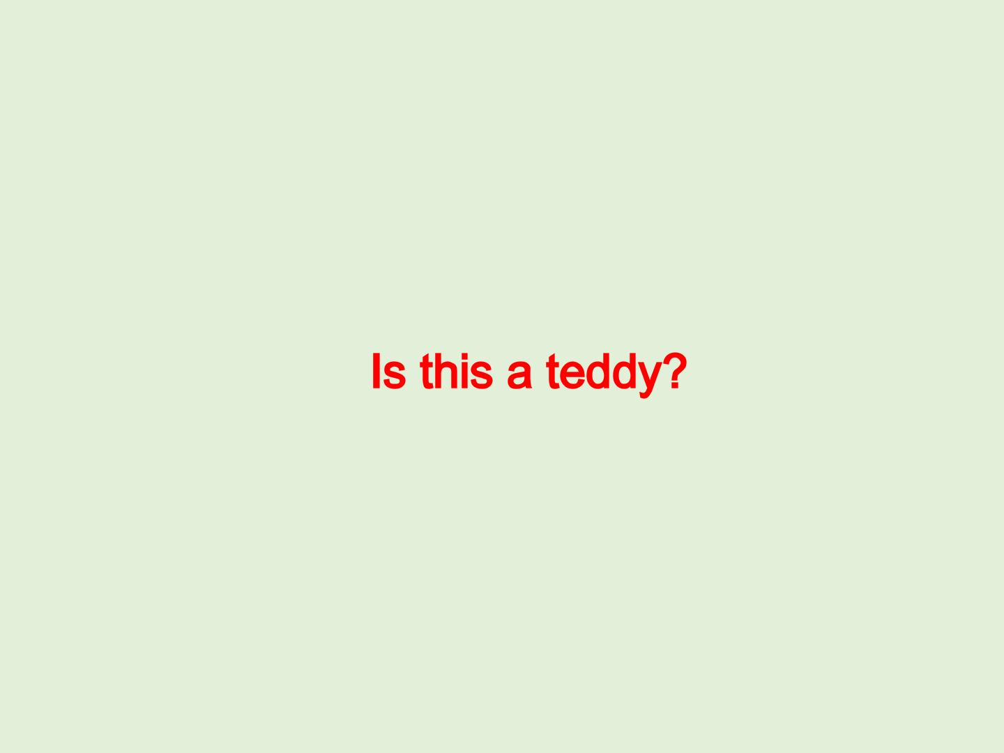 Is this a teddy?_课件1