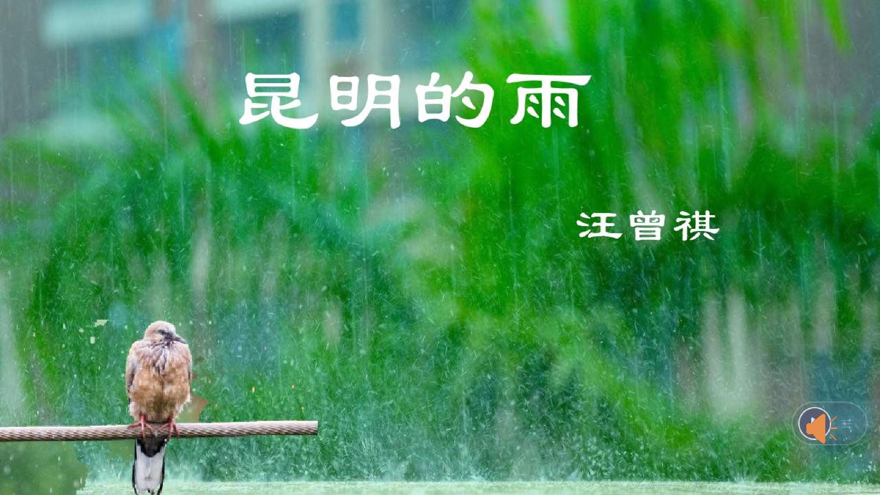 《昆明的雨》上课课件