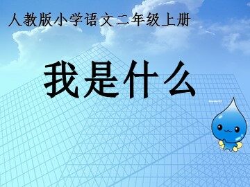 30 我是什么 
