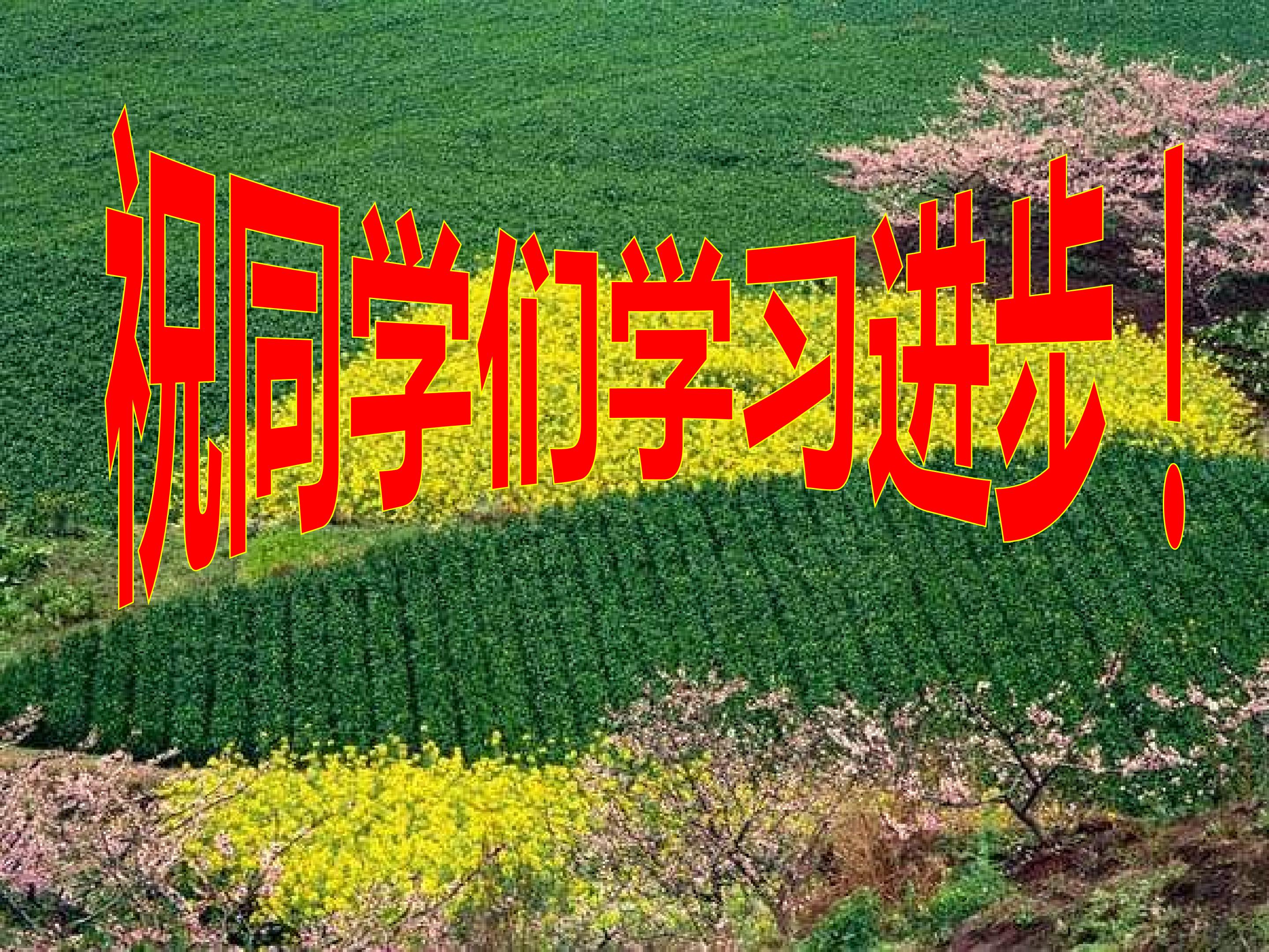 28.jpg