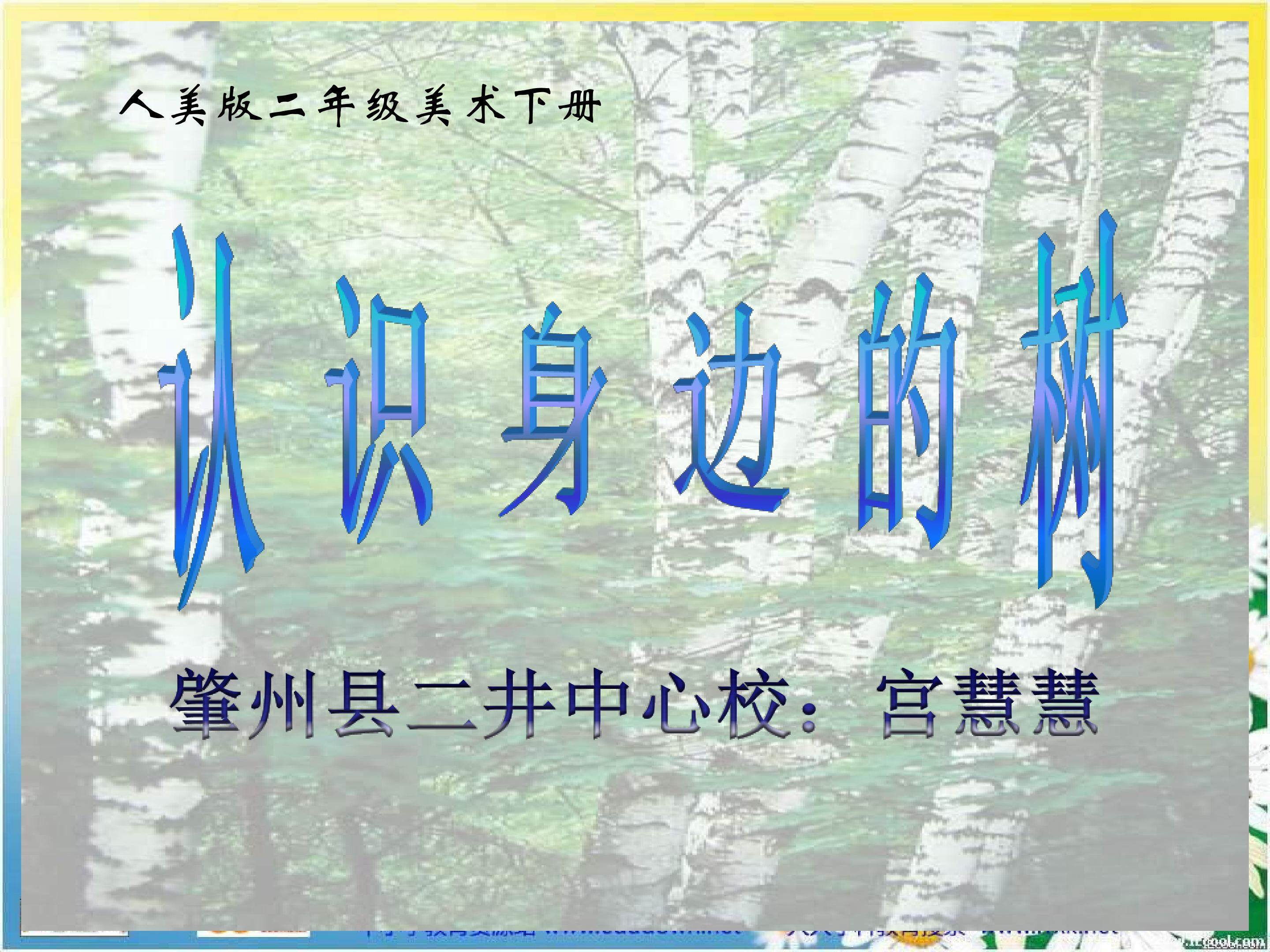 《认识身边的树》