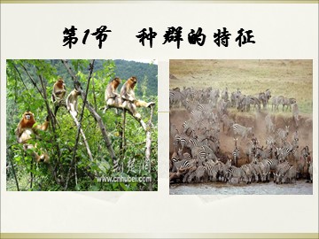 科学家的故事 从治蝗专家到生态学巨匠