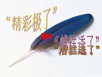 19 “精彩极了”和“糟糕透了”