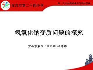 氢氧化钠变质问题的探究