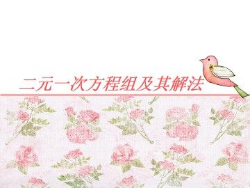 二元一次方程组及其解法_课件1