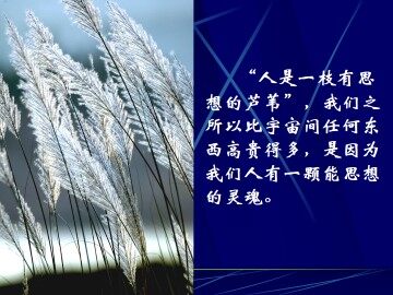 人的高贵在于灵魂_课件7