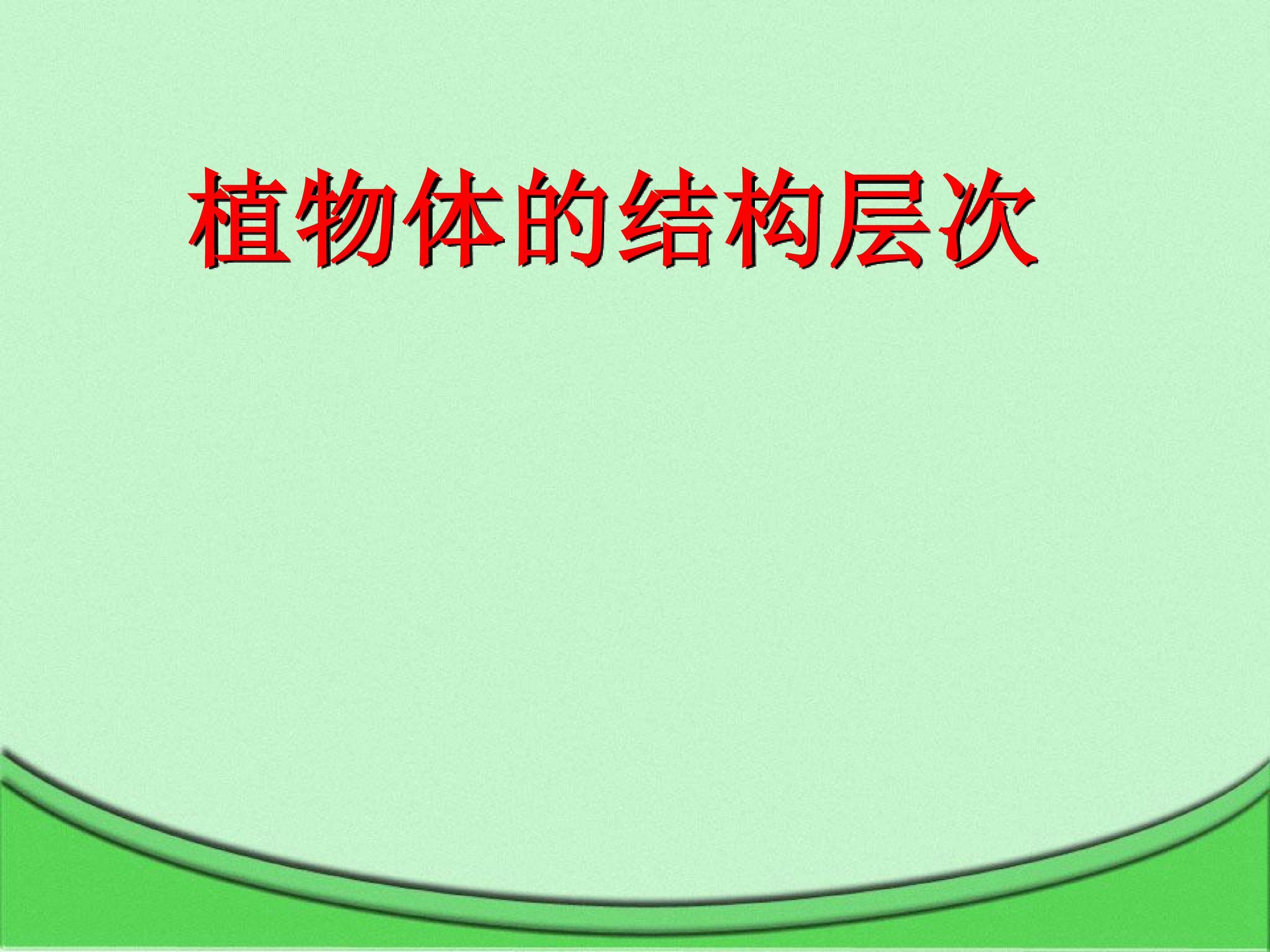 植物体的结构层次_课件1