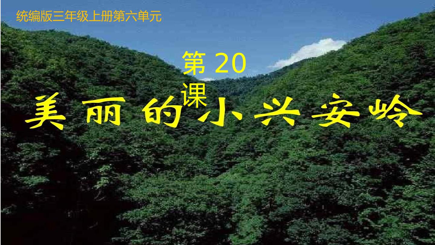 20美丽的小兴安岭