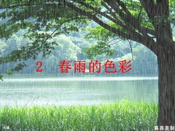 1  春雨的色彩