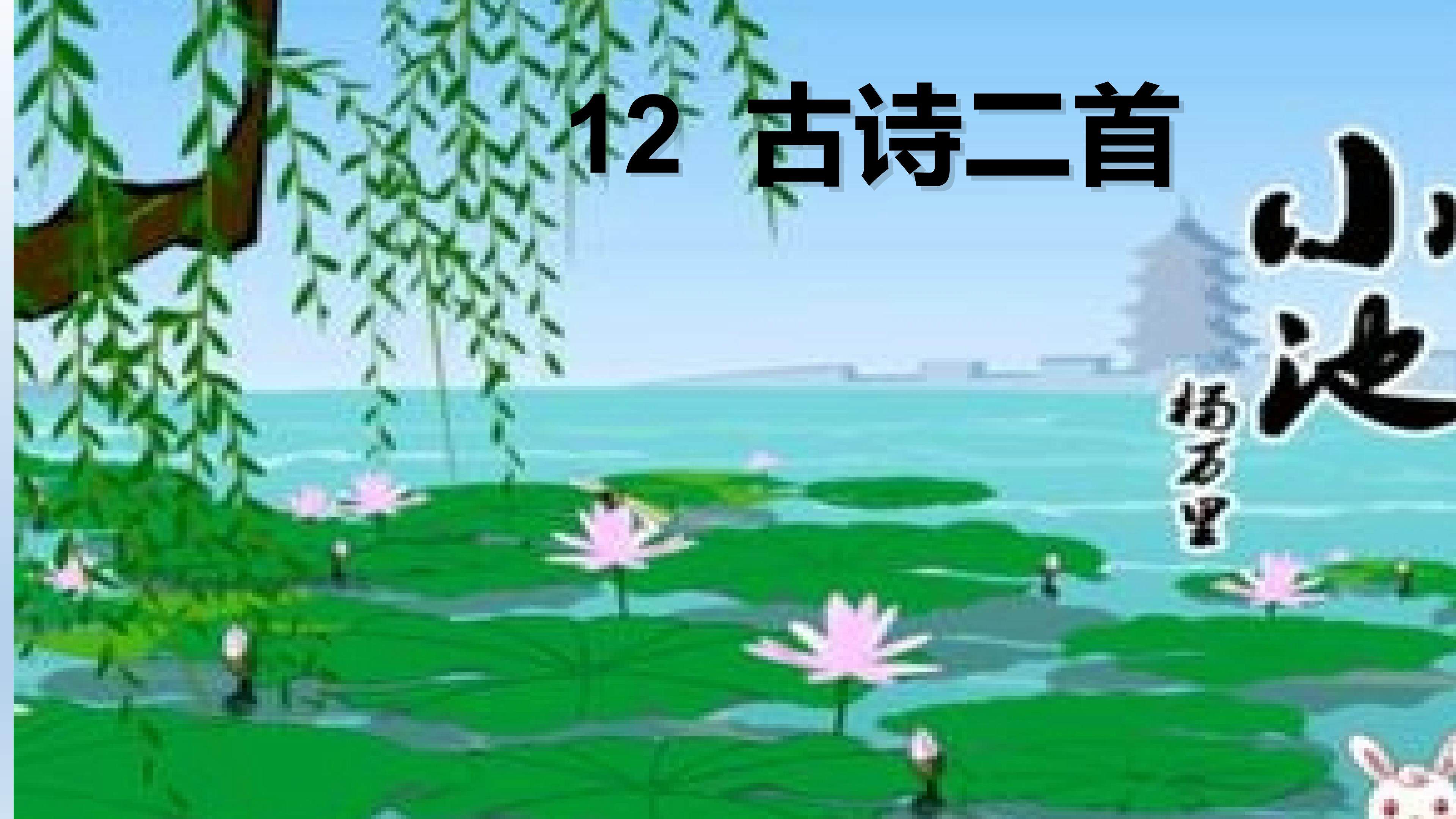 《小池》课件