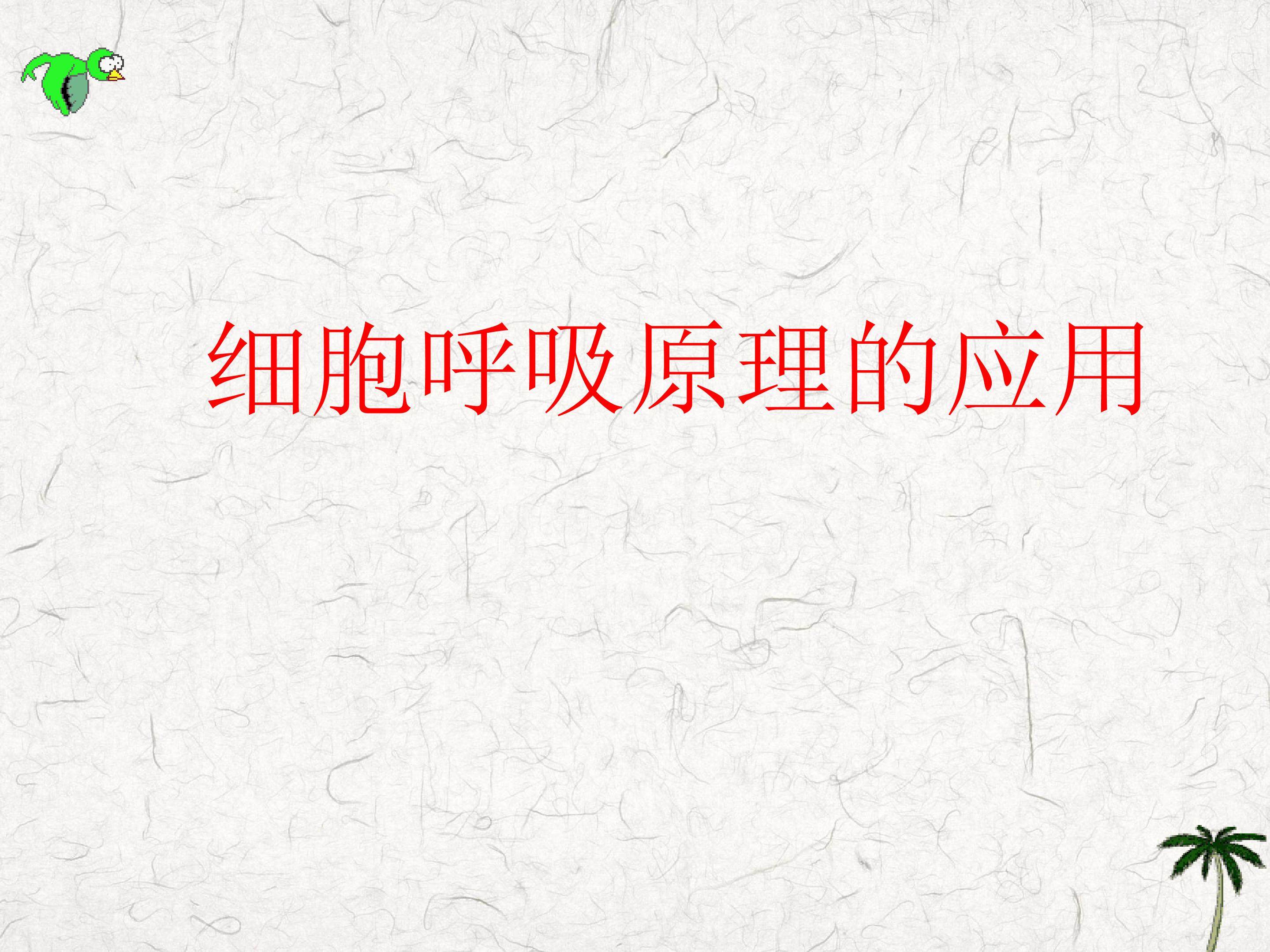 细胞呼吸原理的应用_课件1