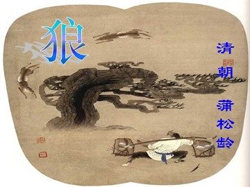 30 狼