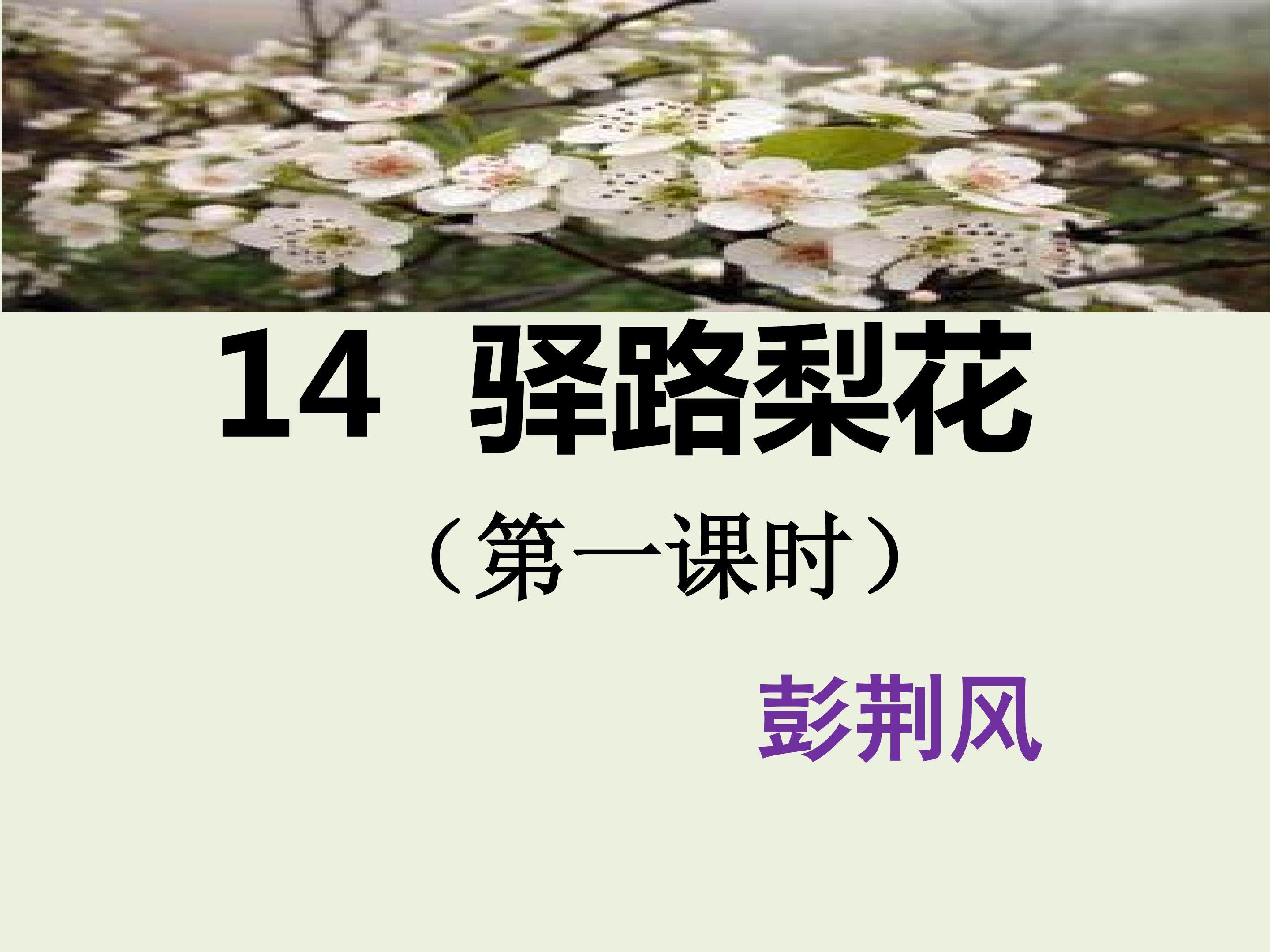 《驿路梨花》多媒体课件