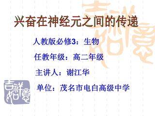 兴奋在神经元之间的传递