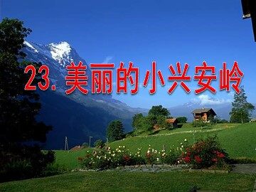 23 美丽的小兴安岭